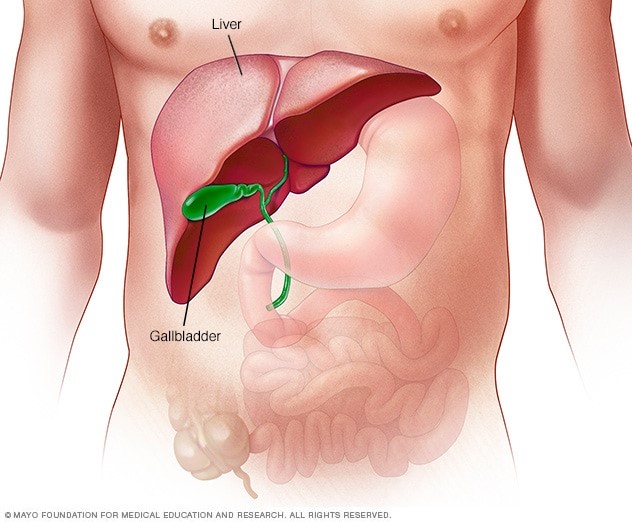 What is liver cancer?