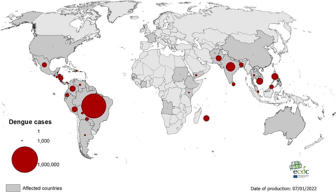 What is dengue?
